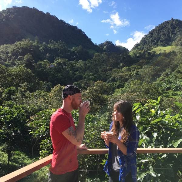 Coffee Farm Café Ambience | 1 Hour Background Music